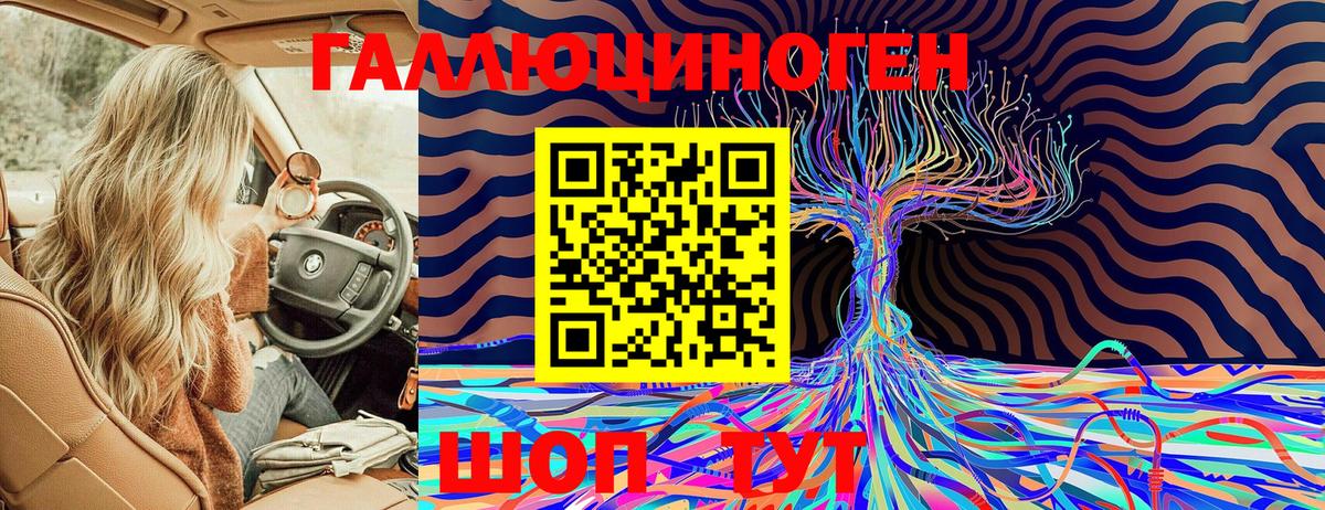 Псилоцибиновые грибы Psilocybe  Галлюциногенные грибы ЛСД  Вход с VPN  Россия 